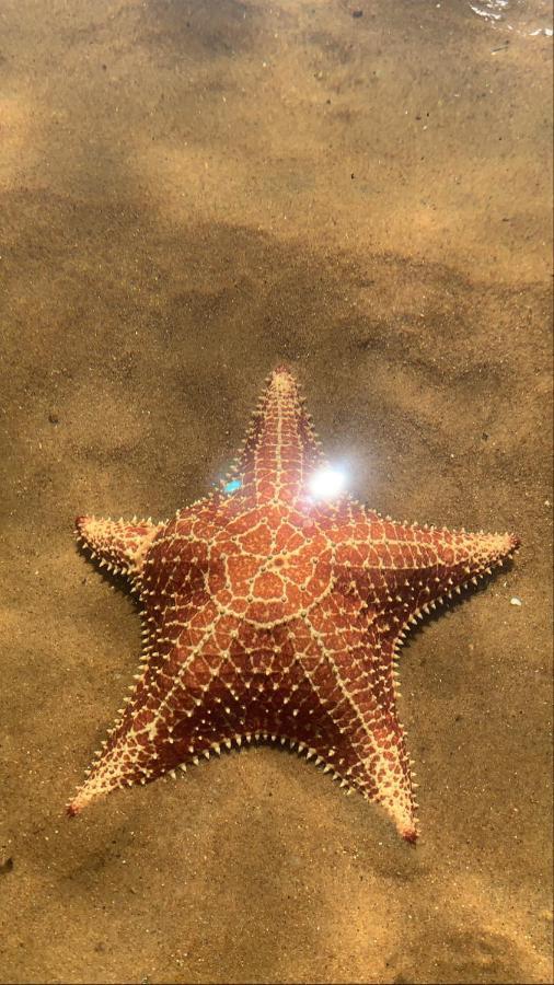 Recanto Do Sol Praia de Araçatiba Eksteriør bilde